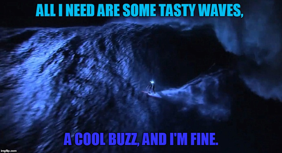ALL I NEED ARE SOME TASTY WAVES, A COOL BUZZ, AND I'M FINE. | made w/ Imgflip meme maker