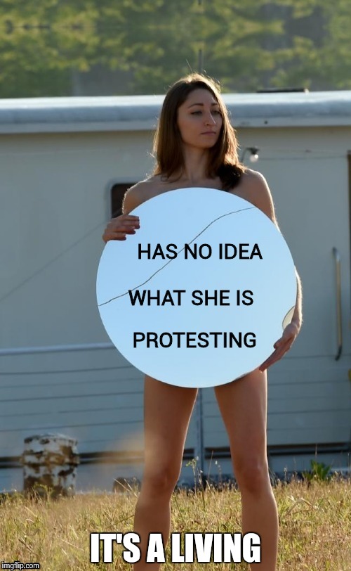 IT'S A LIVING | image tagged in protester | made w/ Imgflip meme maker