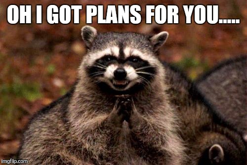 Evil Plotting Raccoon | OH I GOT PLANS FOR YOU..... | image tagged in memes,evil plotting raccoon | made w/ Imgflip meme maker