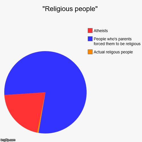 image tagged in funny,pie charts,religion | made w/ Imgflip chart maker