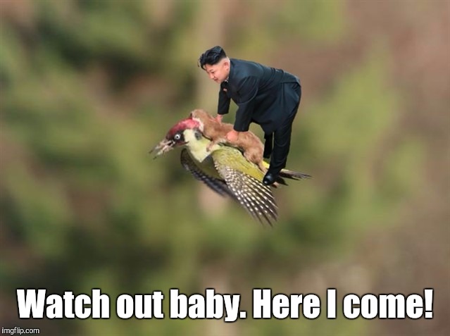 1810in.jpg | Watch out baby. Here I come! | image tagged in 1810injpg | made w/ Imgflip meme maker