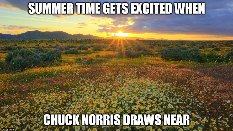Almost | SUMMER TIME GETS EXCITED WHEN; CHUCK NORRIS DRAWS NEAR | image tagged in sun rays flowers,summer time,summer,chuck norris | made w/ Imgflip meme maker