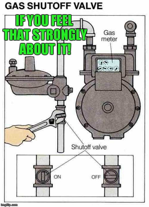 gas meter | IF YOU FEEL THAT STRONGLY ABOUT IT! | image tagged in gas meter | made w/ Imgflip meme maker