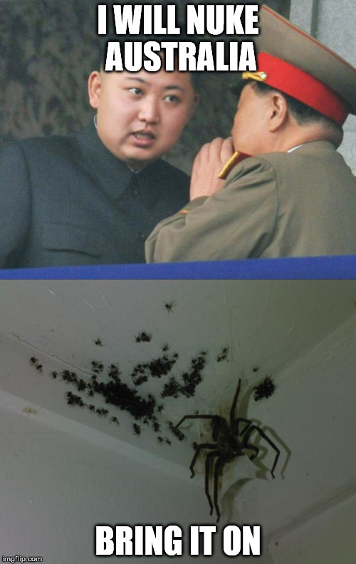 Kim vs Australia | I WILL NUKE AUSTRALIA; BRING IT ON | image tagged in north korea,australia,nuke,giant spider,spider | made w/ Imgflip meme maker