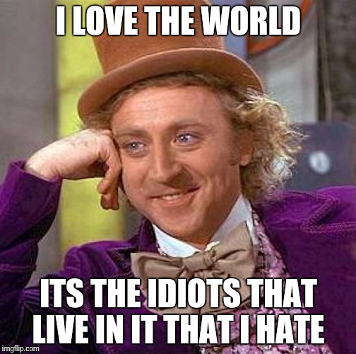 Creepy Condescending Wonka Meme | I LOVE THE WORLD ITS THE IDIOTS THAT LIVE IN IT THAT I HATE | image tagged in memes,creepy condescending wonka | made w/ Imgflip meme maker