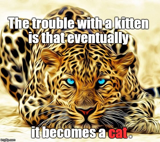 F. Ogden Nash (August 19, 1902–May 19, 1971) was an American poet well known for his light verse, of which he wrote over 500. |  The trouble with a kitten is that eventually; it becomes a cat . cat | image tagged in big cat,ogden nash,kittens,cats,kittens become cats | made w/ Imgflip meme maker