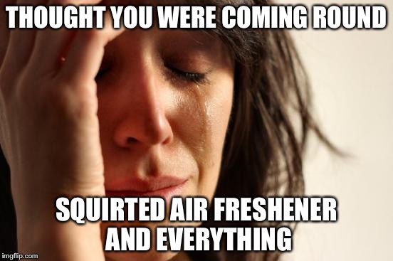 First World Problems | THOUGHT YOU WERE COMING ROUND; SQUIRTED AIR FRESHENER AND EVERYTHING | image tagged in memes,first world problems | made w/ Imgflip meme maker