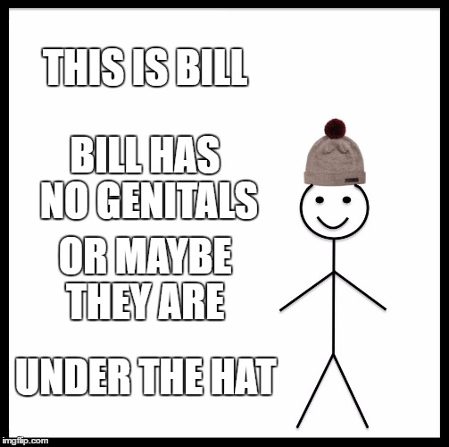 Be Like Bill | THIS IS BILL; BILL HAS NO GENITALS; OR MAYBE THEY ARE; UNDER THE HAT | image tagged in memes,be like bill | made w/ Imgflip meme maker