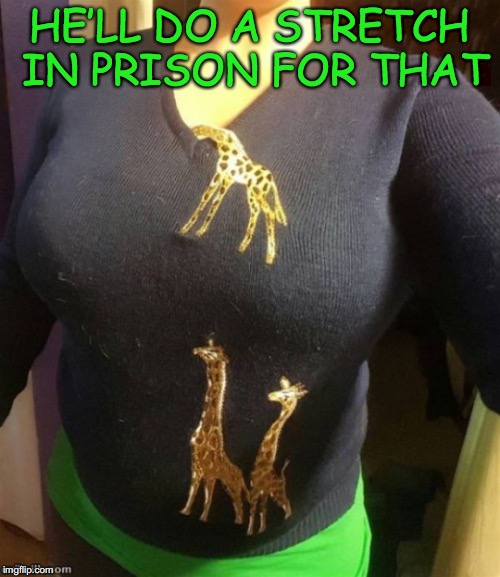 Cleavage Week Finale | HE’LL DO A STRETCH IN PRISON FOR THAT | image tagged in cleavage week,funny giraffe,fashion | made w/ Imgflip meme maker