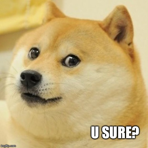 Doge Meme | U SURE? | image tagged in memes,doge | made w/ Imgflip meme maker