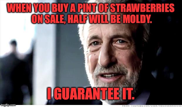 I Guarantee It | WHEN YOU BUY A PINT OF STRAWBERRIES ON SALE, HALF WILL BE MOLDY. I GUARANTEE IT. | image tagged in memes,i guarantee it | made w/ Imgflip meme maker