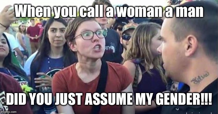 Did you just assume my gender | When you call a woman a man; DID YOU JUST ASSUME MY GENDER!!! | image tagged in did you just assume my gender | made w/ Imgflip meme maker