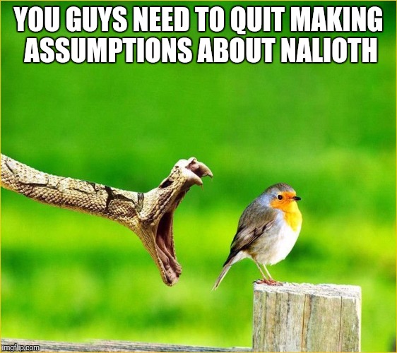 Snake Reality Bites | YOU GUYS NEED TO QUIT MAKING ASSUMPTIONS ABOUT NALIOTH | image tagged in snake reality bites | made w/ Imgflip meme maker