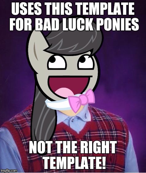 USES THIS TEMPLATE FOR BAD LUCK PONIES NOT THE RIGHT TEMPLATE! | made w/ Imgflip meme maker