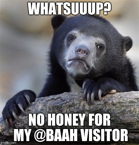 Confession Bear Meme | WHATSUUUP? NO HONEY FOR MY @BAAH VISITOR | image tagged in memes,confession bear | made w/ Imgflip meme maker