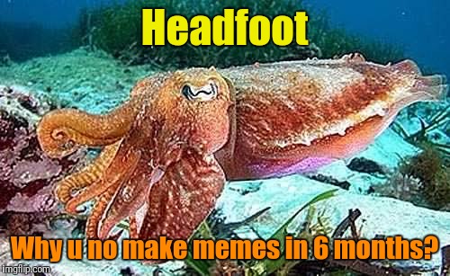 Headfoot Why u no make memes in 6 months? | made w/ Imgflip meme maker