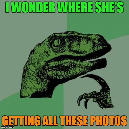 Philosoraptor Meme | I WONDER WHERE SHE'S GETTING ALL THESE PHOTOS | image tagged in memes,philosoraptor | made w/ Imgflip meme maker