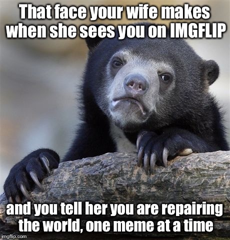 Confession Bear | That face your wife makes when she sees you on IMGFLIP; and you tell her you are repairing the world, one meme at a time | image tagged in memes,confession bear | made w/ Imgflip meme maker