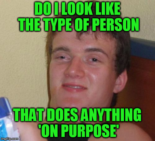 10 Guy Meme | DO I LOOK LIKE THE TYPE OF PERSON THAT DOES ANYTHING 'ON PURPOSE' | image tagged in memes,10 guy | made w/ Imgflip meme maker