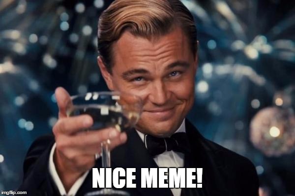 Leonardo Dicaprio Cheers Meme | NICE MEME! | image tagged in memes,leonardo dicaprio cheers | made w/ Imgflip meme maker