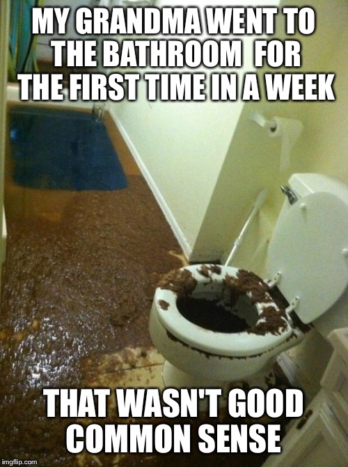 poop | MY GRANDMA WENT TO THE BATHROOM  FOR THE FIRST TIME IN A WEEK; THAT WASN'T GOOD COMMON SENSE | image tagged in poop | made w/ Imgflip meme maker