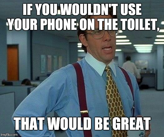 That Would Be Great | IF YOU WOULDN'T USE YOUR PHONE ON THE TOILET, THAT WOULD BE GREAT | image tagged in memes,that would be great | made w/ Imgflip meme maker