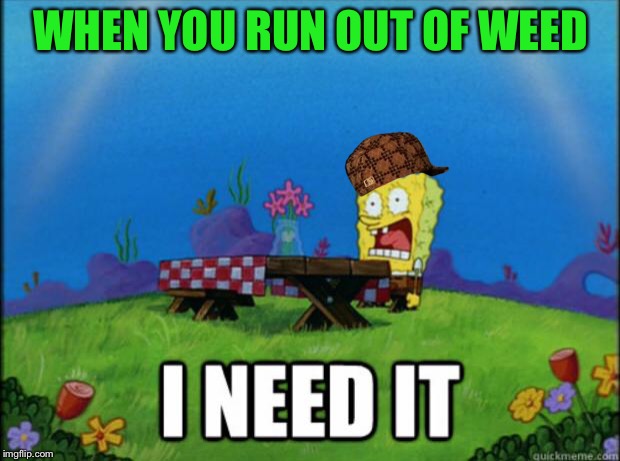 spongebob I need it | WHEN YOU RUN OUT OF WEED | image tagged in spongebob i need it,scumbag | made w/ Imgflip meme maker