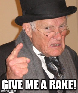 Back In My Day Meme | GIVE ME A RAKE! | image tagged in memes,back in my day | made w/ Imgflip meme maker