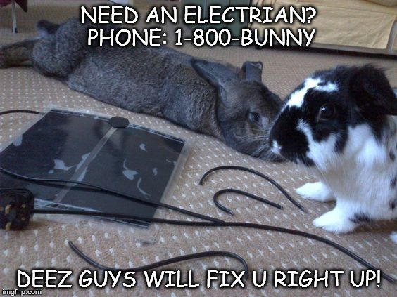 Fix | NEED AN ELECTRIAN? PHONE: 1-800-BUNNY; DEEZ GUYS WILL FIX U RIGHT UP! | image tagged in memes | made w/ Imgflip meme maker
