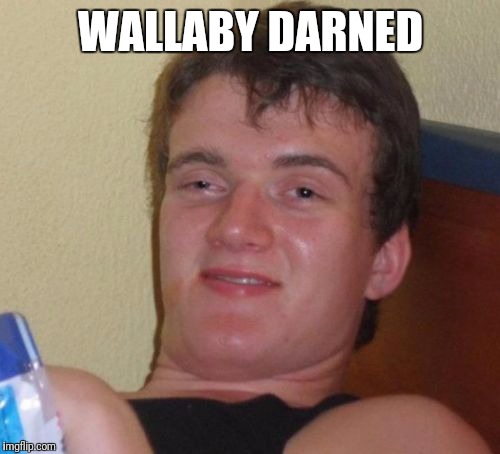 10 Guy Meme | WALLABY DARNED | image tagged in memes,10 guy | made w/ Imgflip meme maker