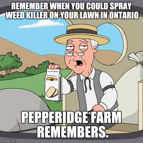 More dandelions than you can shake a stick at. | REMEMBER WHEN YOU COULD SPRAY WEED KILLER ON YOUR LAWN IN ONTARIO; PEPPERIDGE FARM REMEMBERS. | image tagged in memes,pepperidge farm remembers | made w/ Imgflip meme maker