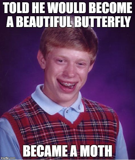 Bad Luck Brian Meme | TOLD HE WOULD BECOME A BEAUTIFUL BUTTERFLY; BECAME A MOTH | image tagged in memes,bad luck brian | made w/ Imgflip meme maker
