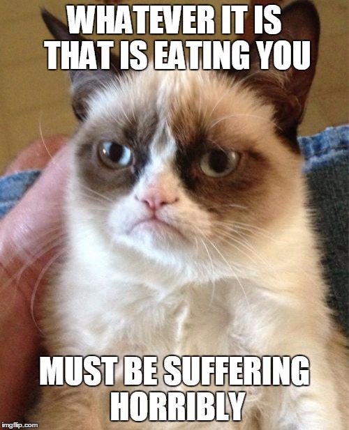 Grumpy Cat | WHATEVER IT IS THAT IS EATING YOU; MUST BE SUFFERING HORRIBLY | image tagged in memes,grumpy cat | made w/ Imgflip meme maker