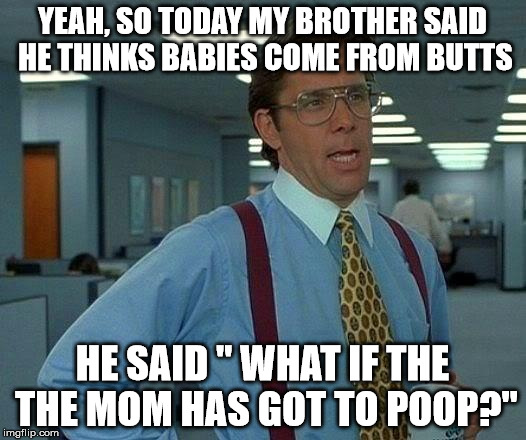 If only he knew... | YEAH, SO TODAY MY BROTHER SAID HE THINKS BABIES COME FROM BUTTS; HE SAID " WHAT IF THE THE MOM HAS GOT TO POOP?" | image tagged in memes,that would be great | made w/ Imgflip meme maker