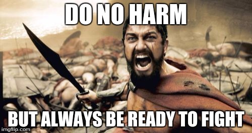 Sparta Leonidas Meme | DO NO HARM; BUT ALWAYS BE READY TO FIGHT | image tagged in memes,sparta leonidas | made w/ Imgflip meme maker