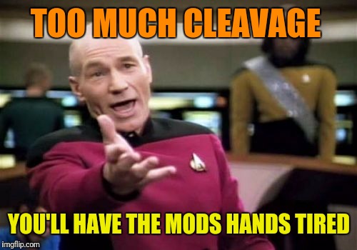 Picard Wtf Meme | TOO MUCH CLEAVAGE YOU'LL HAVE THE MODS HANDS TIRED | image tagged in memes,picard wtf | made w/ Imgflip meme maker