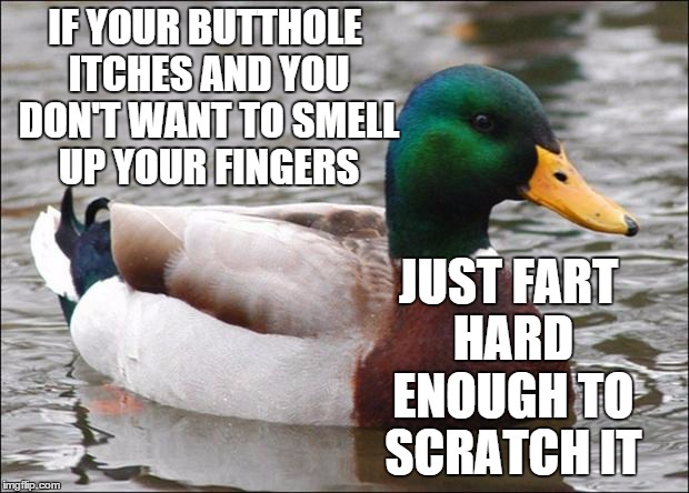 Good Advice mallard | IF YOUR BUTTHOLE ITCHES AND YOU DON'T WANT TO SMELL UP YOUR FINGERS; JUST FART HARD ENOUGH TO SCRATCH IT | image tagged in good advice mallard | made w/ Imgflip meme maker