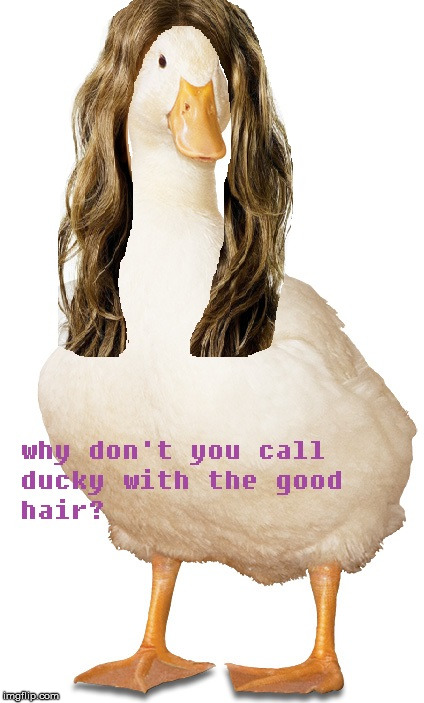 call ducky with the good hair | image tagged in beyonce,becky,duck,good hair,useless | made w/ Imgflip meme maker
