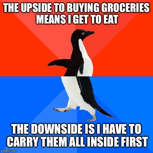 Socially Awesome Awkward Penguin | THE UPSIDE TO BUYING GROCERIES MEANS I GET TO EAT; THE DOWNSIDE IS I HAVE TO CARRY THEM ALL INSIDE FIRST | image tagged in memes,socially awesome awkward penguin | made w/ Imgflip meme maker