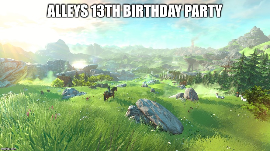 Zelda Wii U Hyrule Field | ALLEYS 13TH BIRTHDAY PARTY | image tagged in zelda wii u hyrule field | made w/ Imgflip meme maker