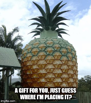 pineapple garage | A GIFT FOR YOU, JUST GUESS WHERE I'M PLACING IT? | image tagged in hitler pineapple,pineapple,asshole,garage,butt plug | made w/ Imgflip meme maker