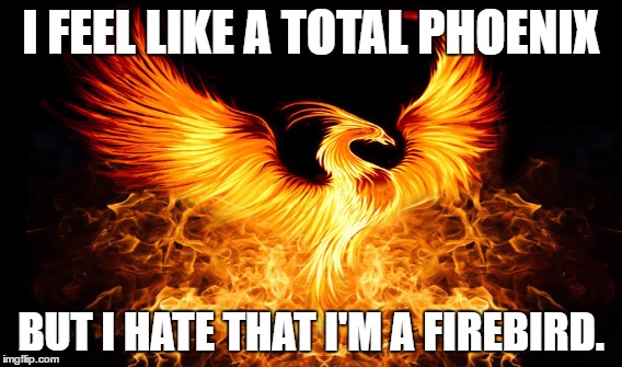 I'm an absolute phoenix! | I FEEL LIKE A TOTAL PHOENIX; BUT I HATE THAT I'M A FIREBIRD. | image tagged in phoenix | made w/ Imgflip meme maker