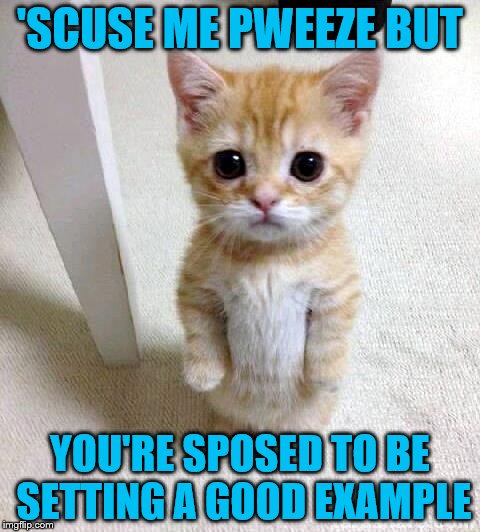 'SCUSE ME PWEEZE BUT YOU'RE SPOSED TO BE SETTING A GOOD EXAMPLE | made w/ Imgflip meme maker