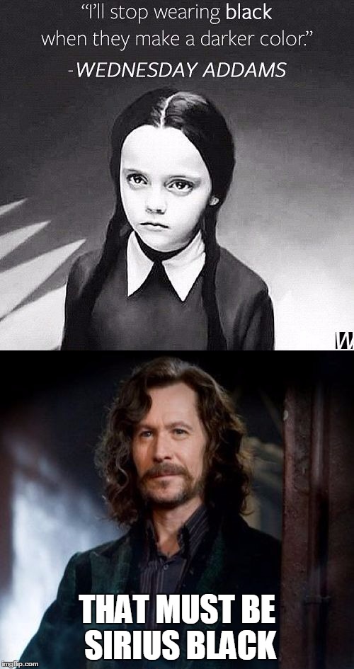 THAT MUST BE SIRIUS BLACK | image tagged in sirius black wednesday | made w/ Imgflip meme maker