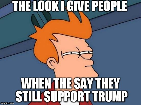 Futurama Fry Meme | THE LOOK I GIVE PEOPLE; WHEN THE SAY THEY STILL SUPPORT TRUMP | image tagged in memes,futurama fry | made w/ Imgflip meme maker