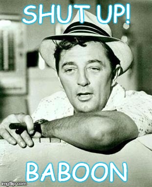 Shut up ! | SHUT UP! BABOON | image tagged in shut up | made w/ Imgflip meme maker