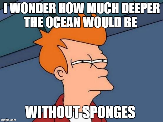 Futurama Fry Meme | I WONDER HOW MUCH DEEPER THE OCEAN WOULD BE; WITHOUT SPONGES | image tagged in memes,futurama fry | made w/ Imgflip meme maker