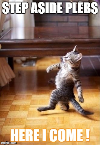 Cool Cat Stroll | STEP ASIDE PLEBS; HERE I COME ! | image tagged in memes,cool cat stroll | made w/ Imgflip meme maker