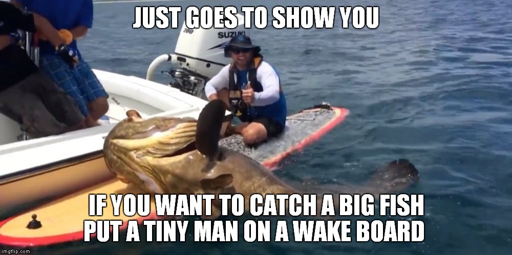 When your lying is as bad as your photoshopping | JUST GOES TO SHOW YOU; IF YOU WANT TO CATCH A BIG FISH PUT A TINY MAN ON A WAKE BOARD | image tagged in photoshop,fish sandwich,funny,funny memes,funny meme,memes | made w/ Imgflip meme maker