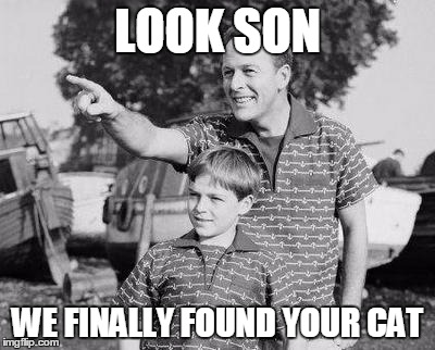 Look Son Meme | LOOK SON; WE FINALLY FOUND YOUR CAT | image tagged in memes,look son | made w/ Imgflip meme maker